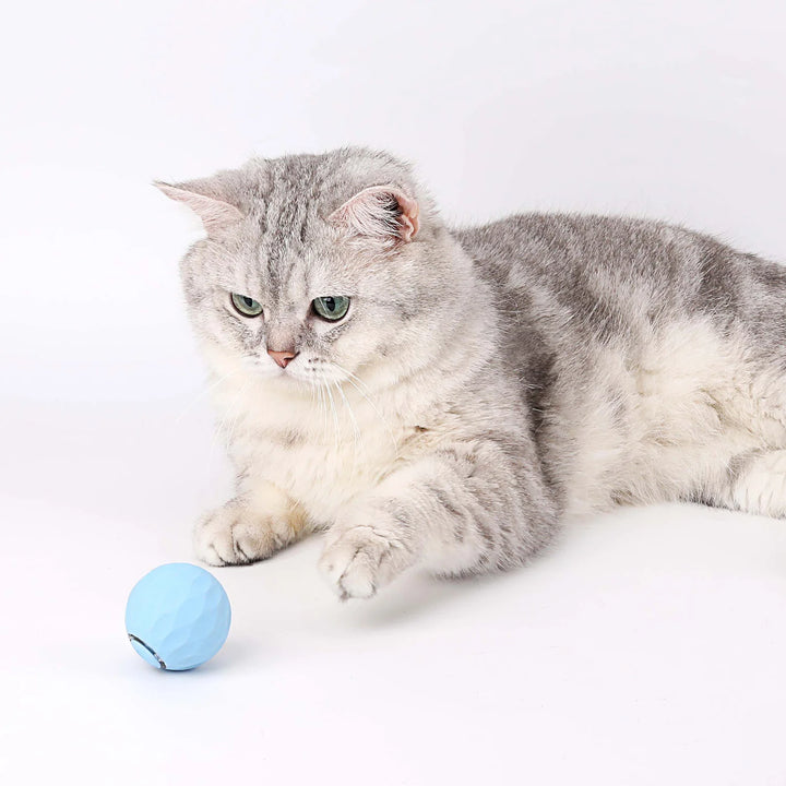 PlayCat™ Magic Ball V2 - Interactive Ball for Cats Add