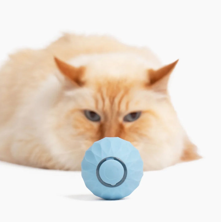 PlayCat™ Ball - Magic Interactive Ball for Cats