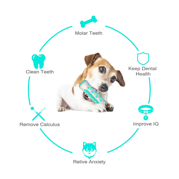 DogZen™ - Ensure your dog's well-being