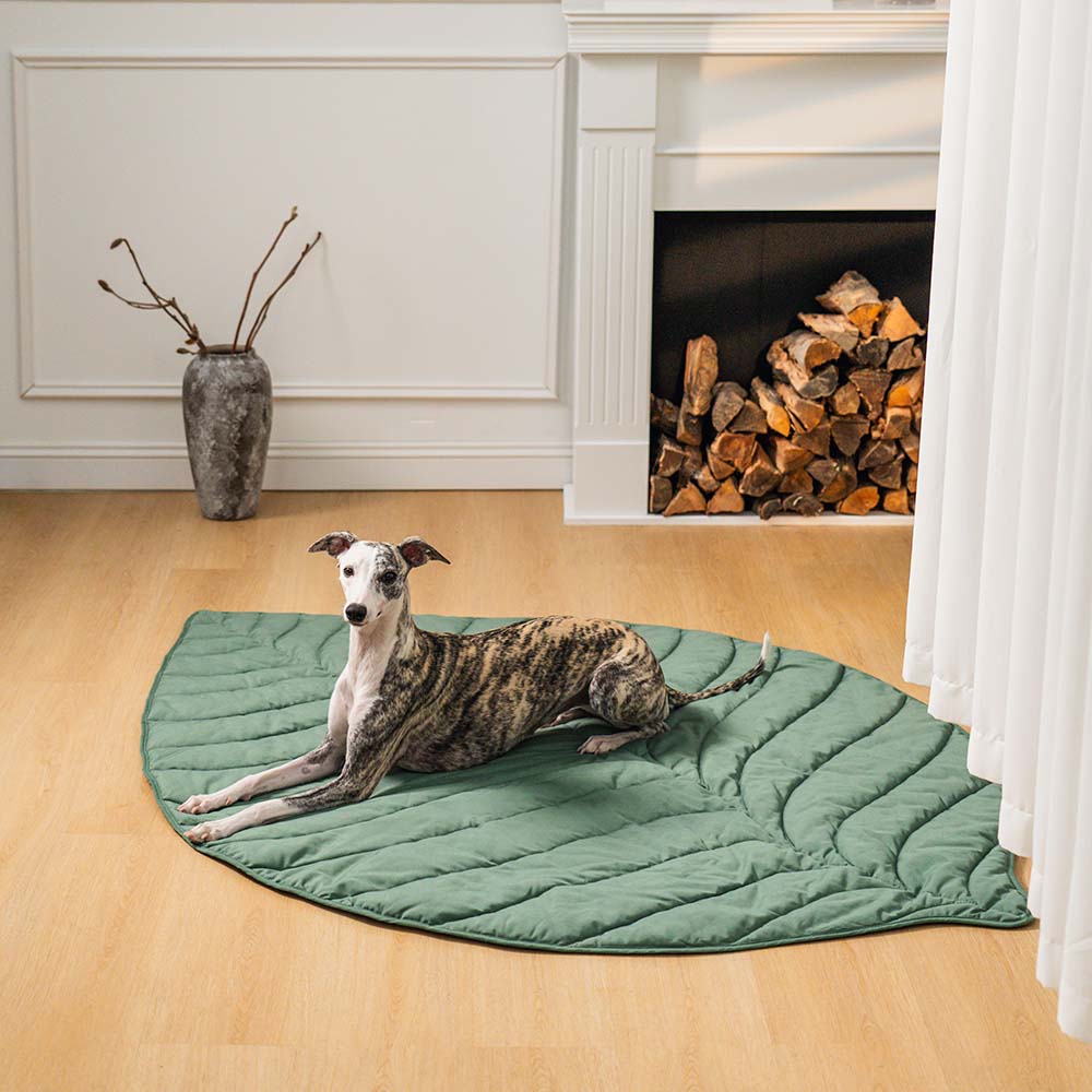 Leaf-Shaped Soft-Touch Blanket