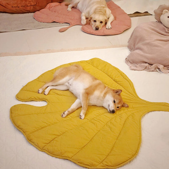 Leaf-Shaped Soft-Touch Blanket