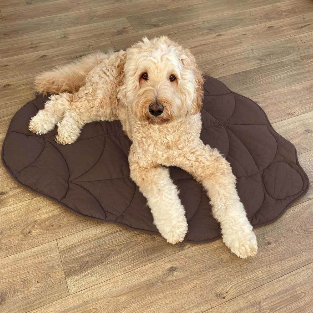 Leaf-Shaped Soft-Touch Blanket