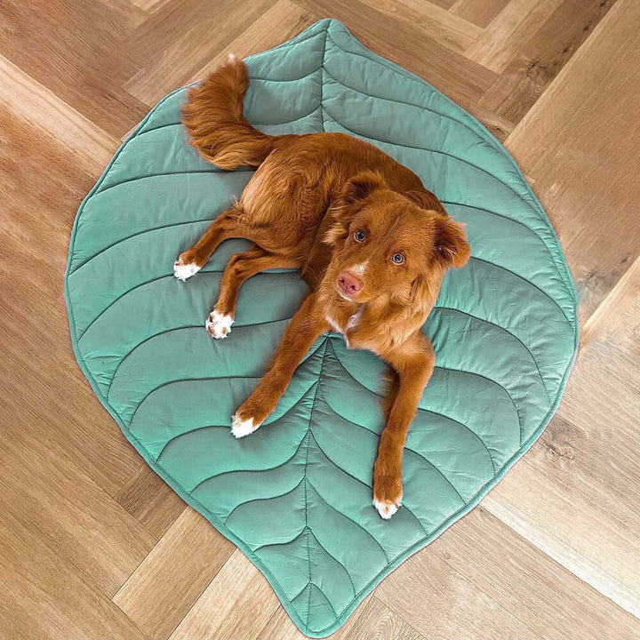 Leaf-Shaped Soft-Touch Blanket